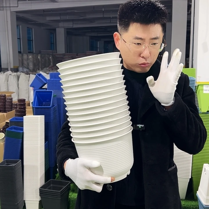 正品矮陶口24高17白色6只无托