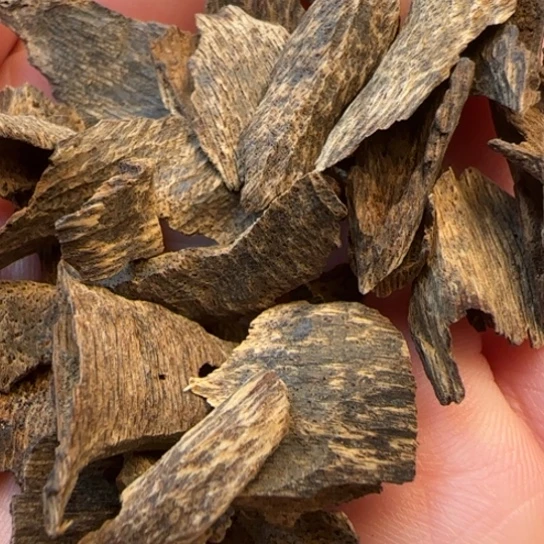 沉香摆件海南沉水鸡母虫3克多样性发货