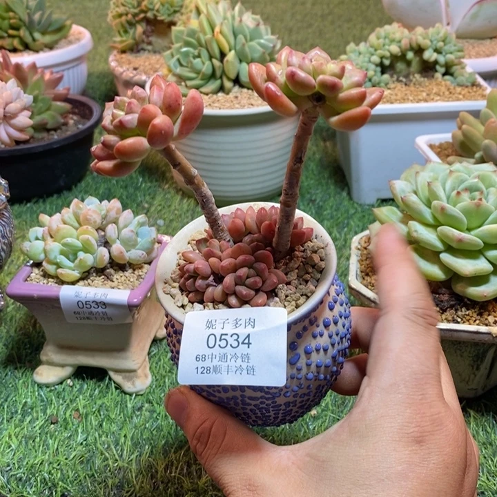 0534啊啊啊啊啊啊啊啊