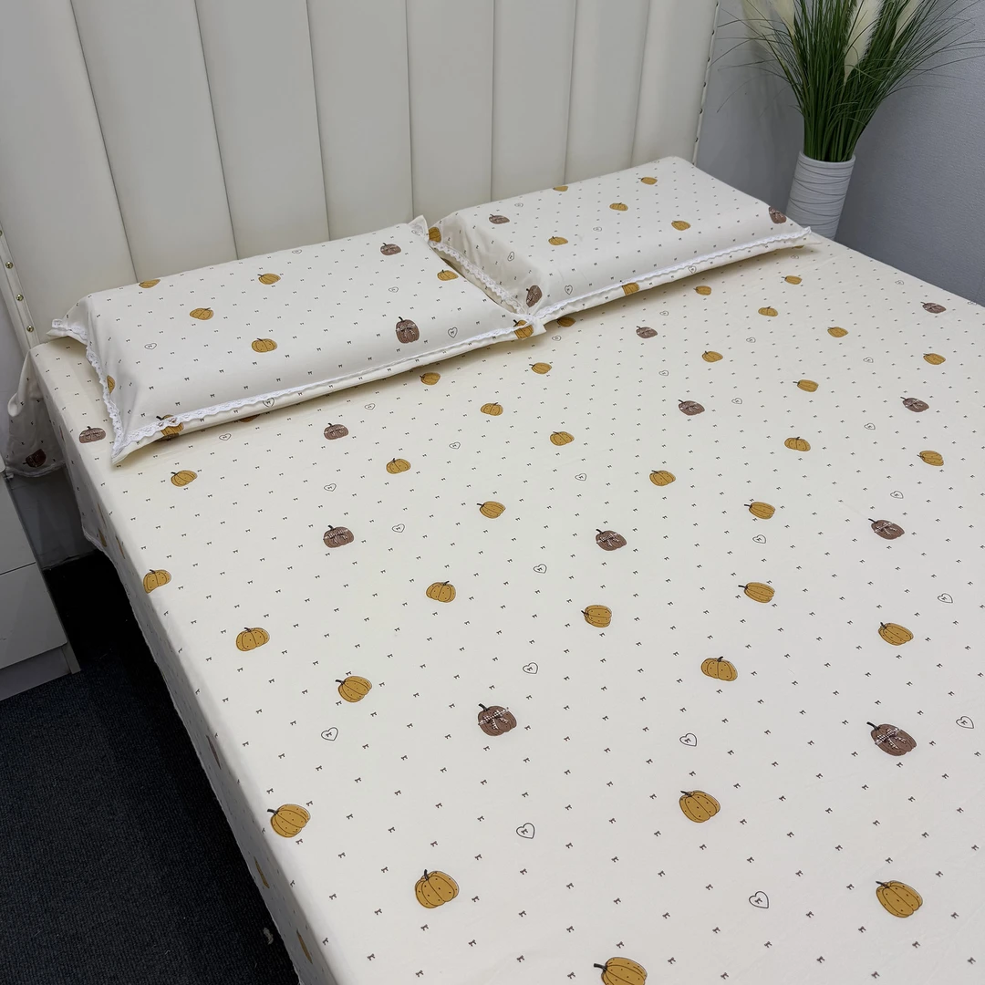 斜纹艾琳小花边防水三件套床罩印花透气植物棉质空调床品床笠夹棉