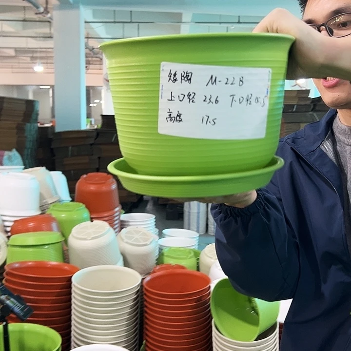 正品矮陶口24高17.5果绿带托6只