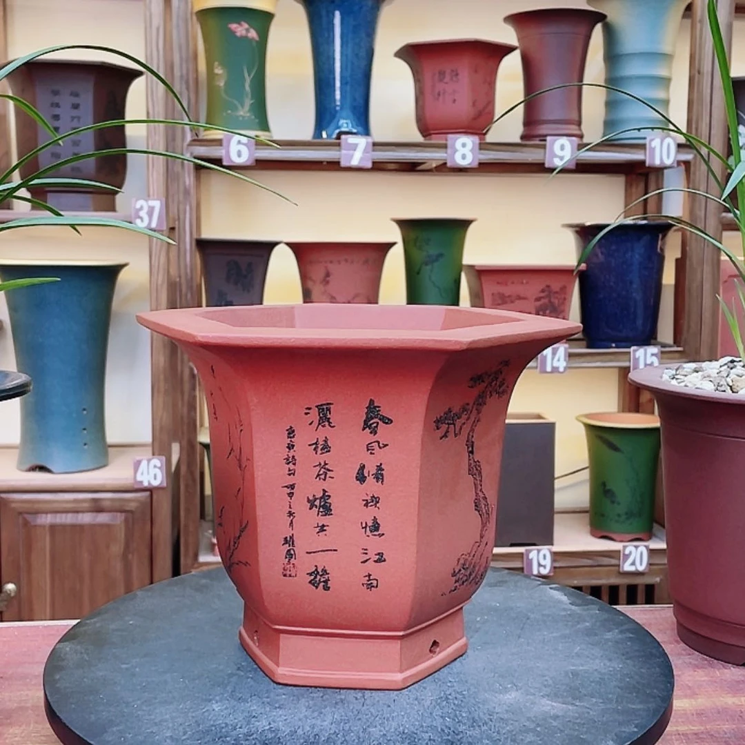 【闪购商品】紫砂花盆兰花422588455988009985