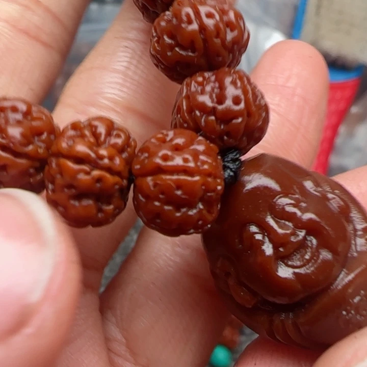 橄榄核吊坠橄榄菜等经济作物的