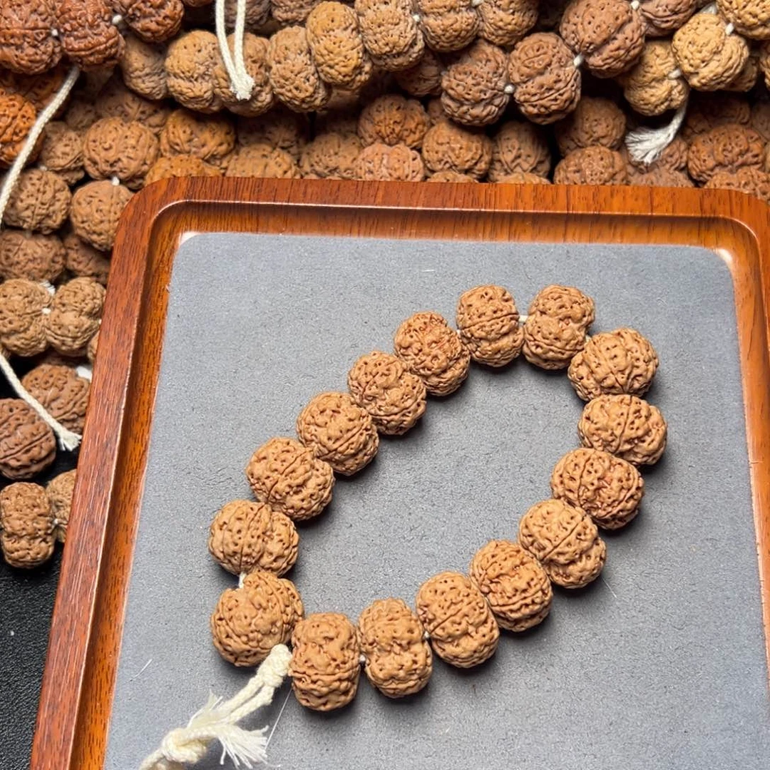 22号尼泊尔大金刚22梅花双龙