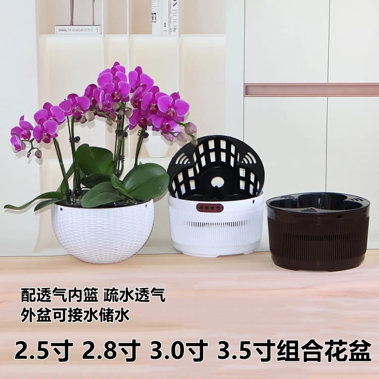 2.8寸3.0寸3.5寸兰花杯蝴蝶兰拼组合专用花盆透气控根花钵定植篮