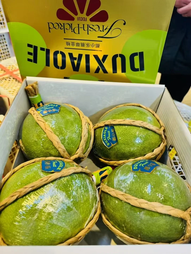 都小乐翡翠金柚子4个