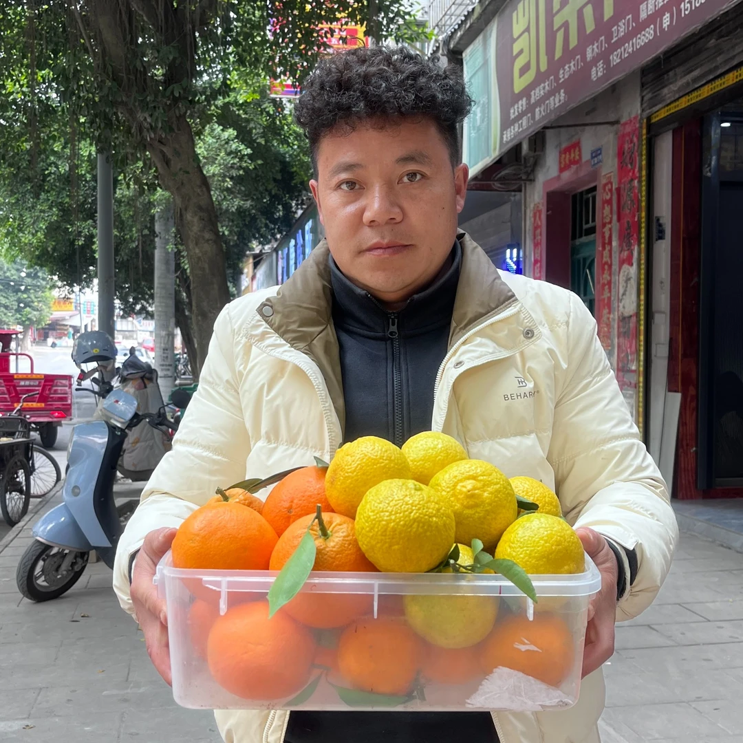 贵州村超八哥高山脐橙/黄金贡柚