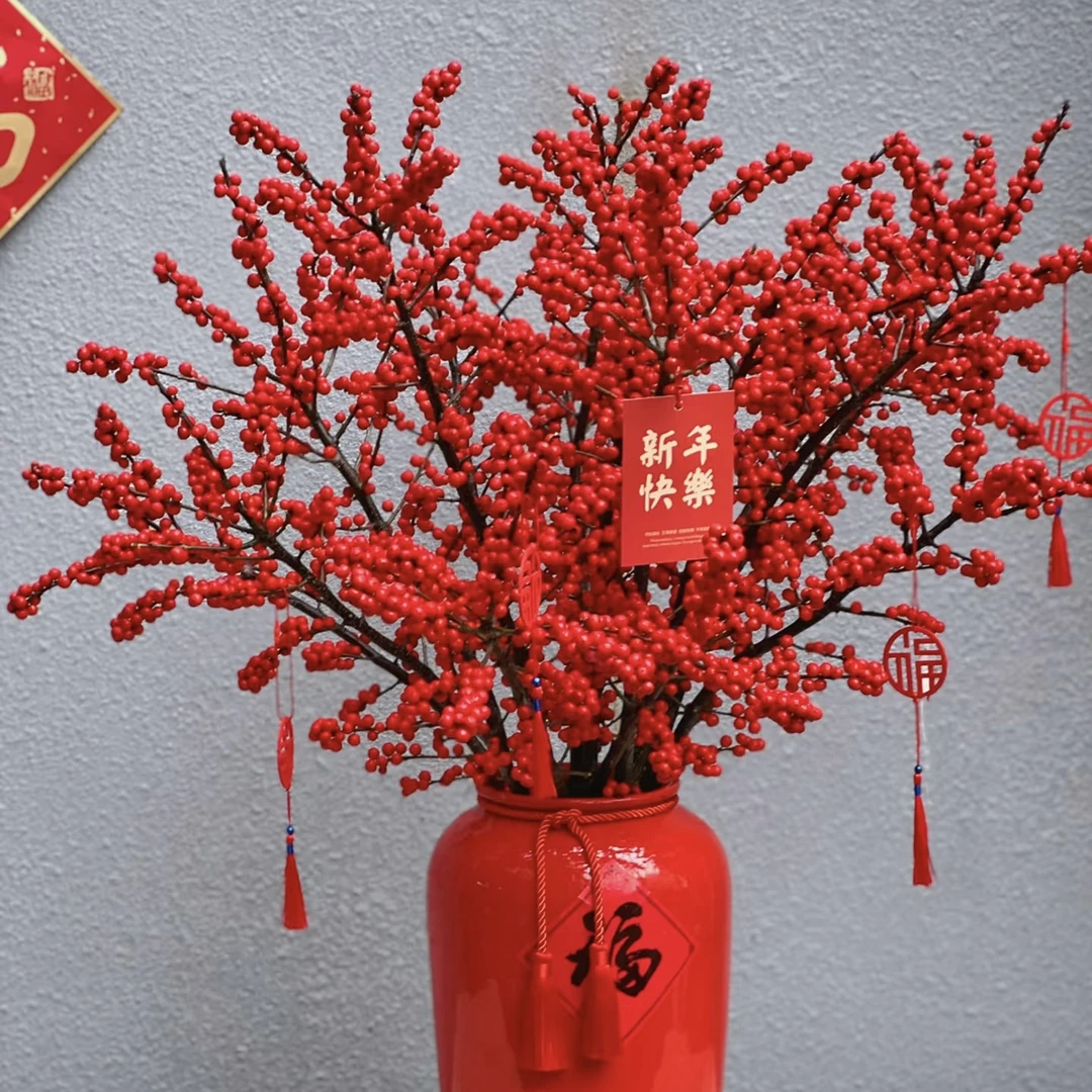 北美冬青（1单中通2单顺丰京东包邮）年宵花鲜花