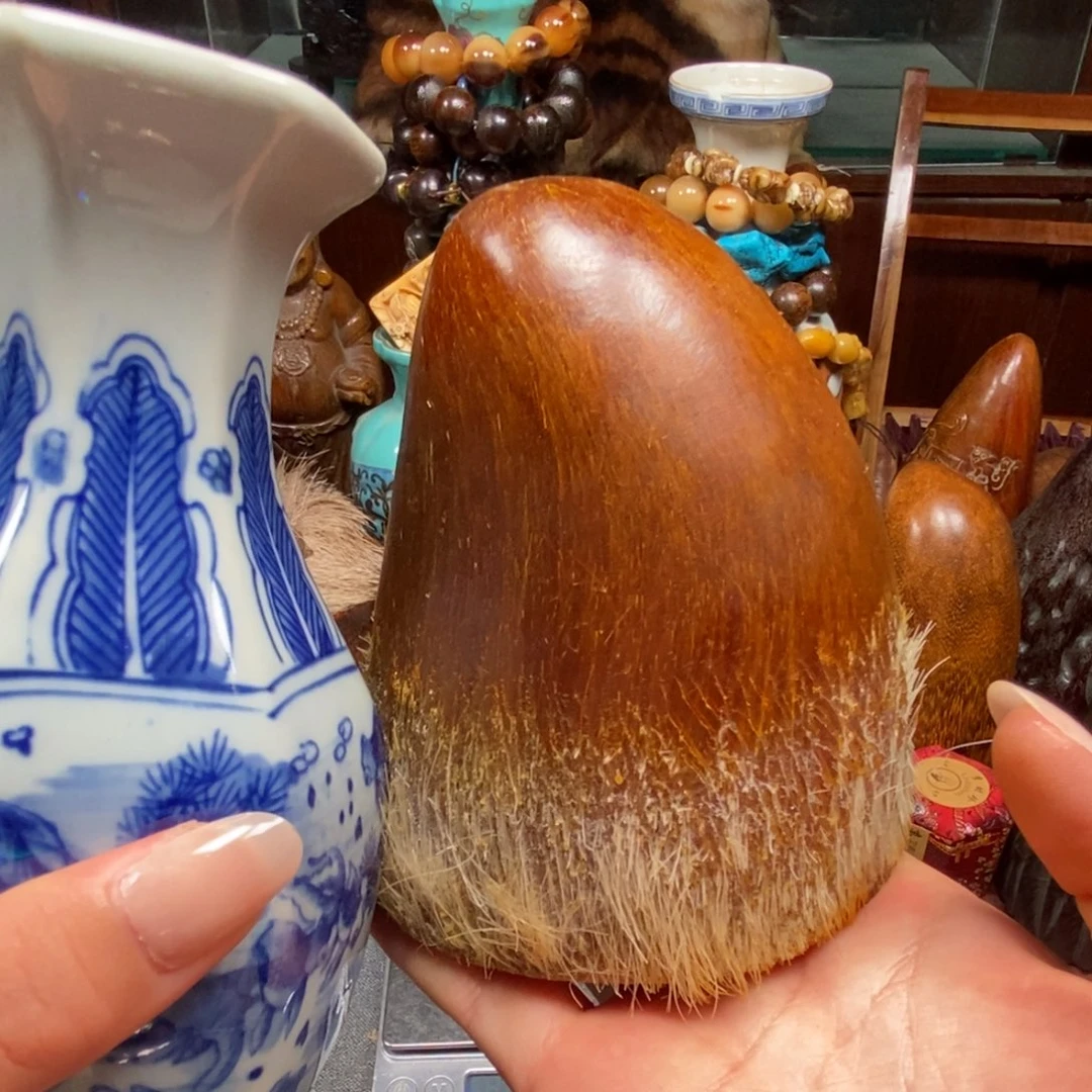 主播节目主持人和主持人