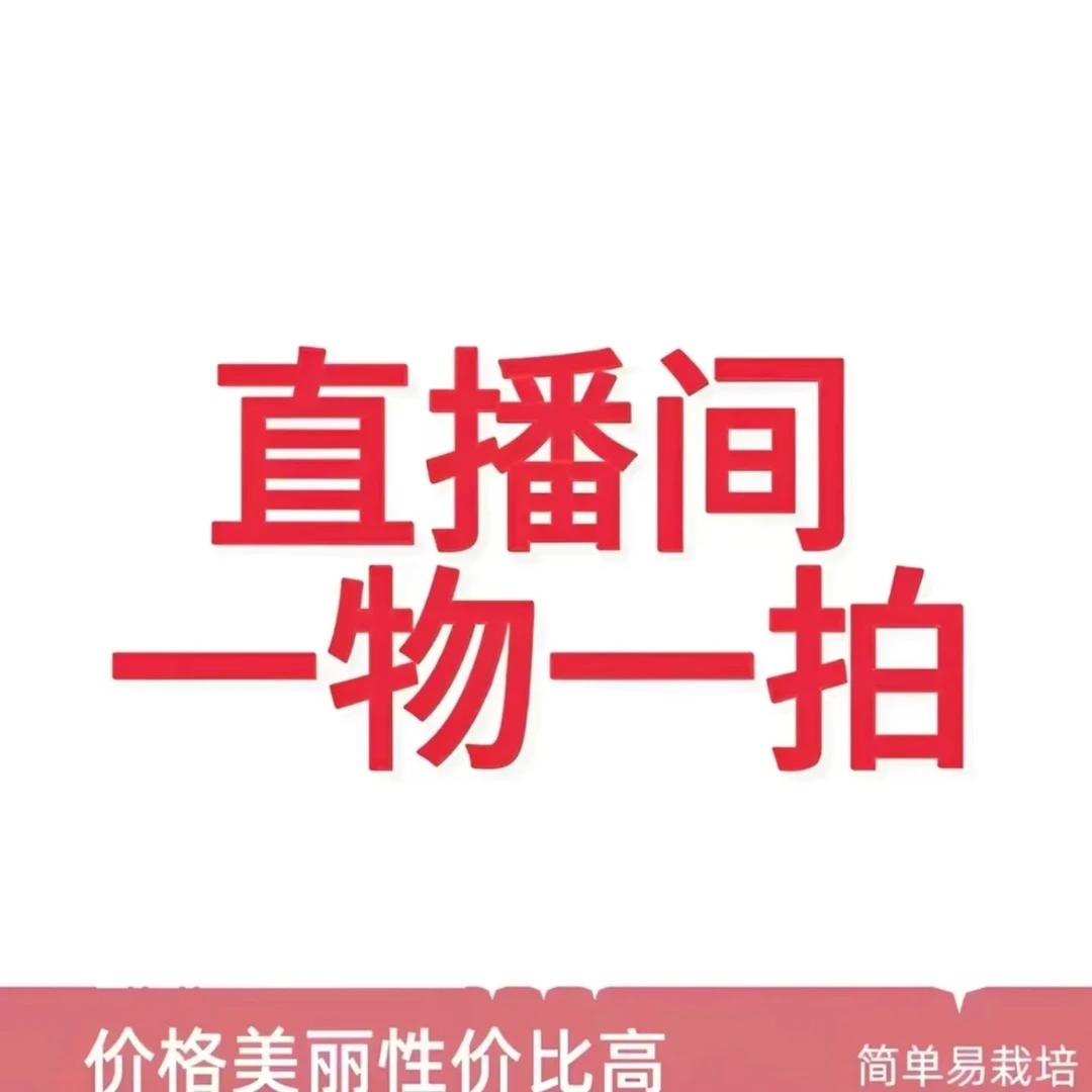 【一物一拍】先发肥料，秋天发芍药种苗，下单后联系客服给地址备注