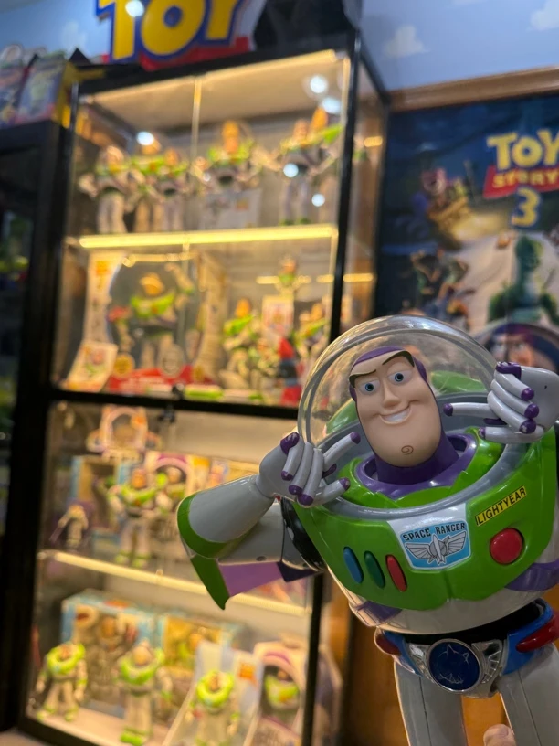 toy-12家玩具孤品