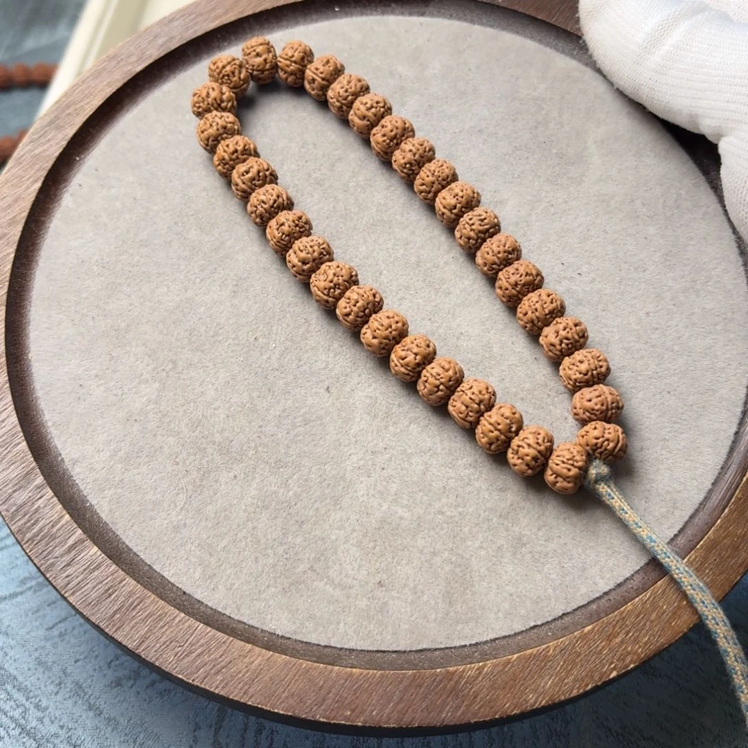 手串金刚菩提老树王10尺寸