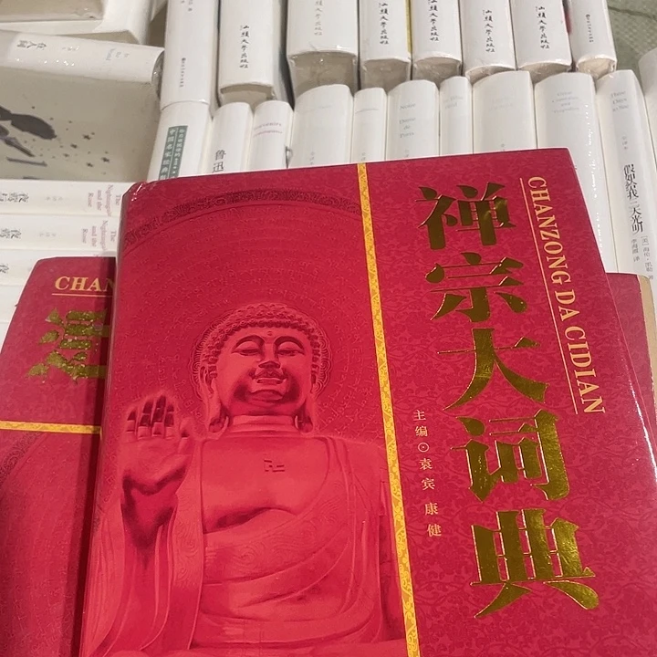 正版样品某总大辞典