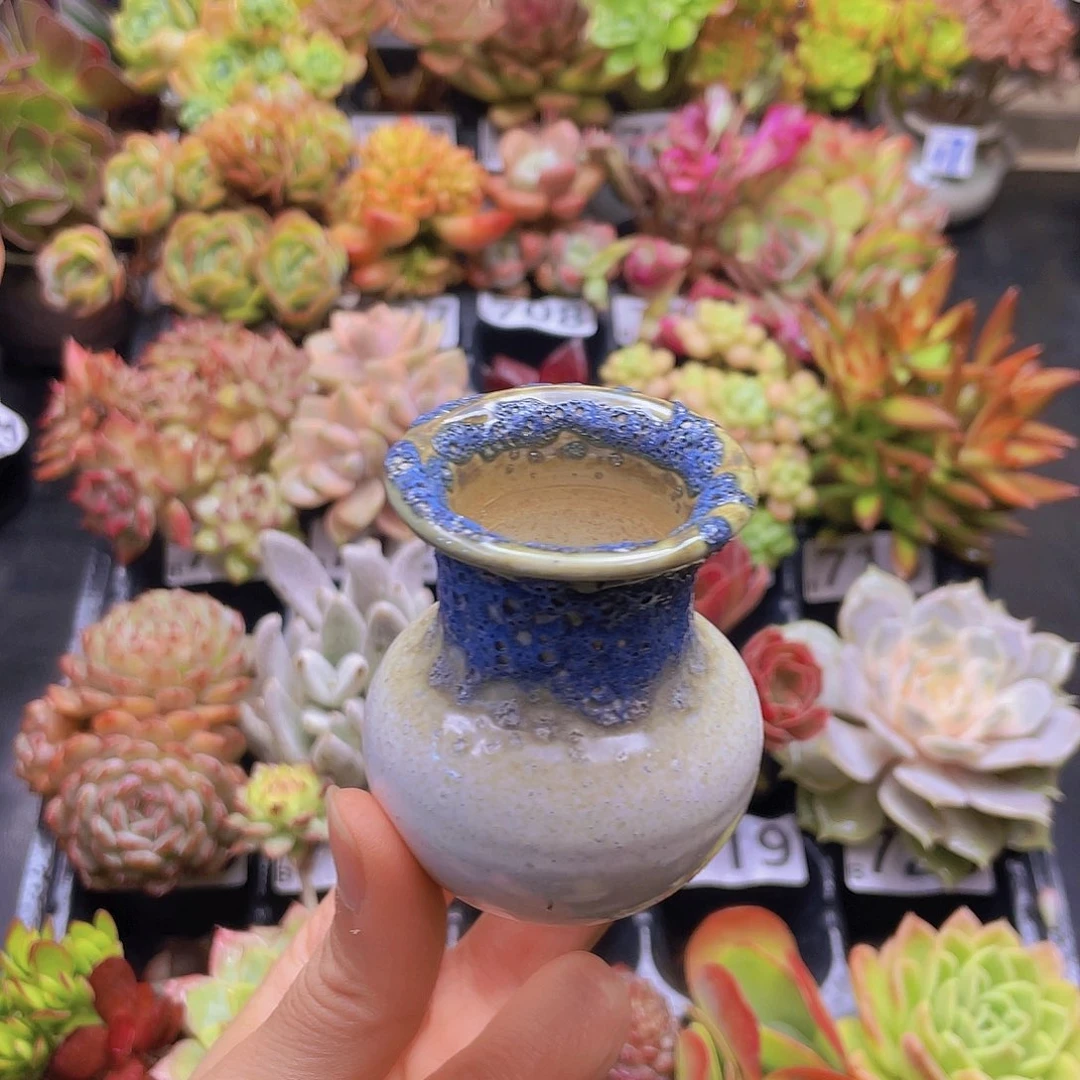 幸***福花钱花钱花钱花钱