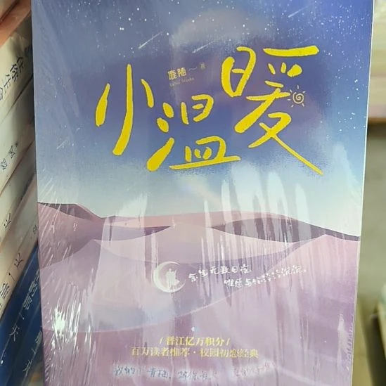 小温暖 默认微瑕正版图书。
