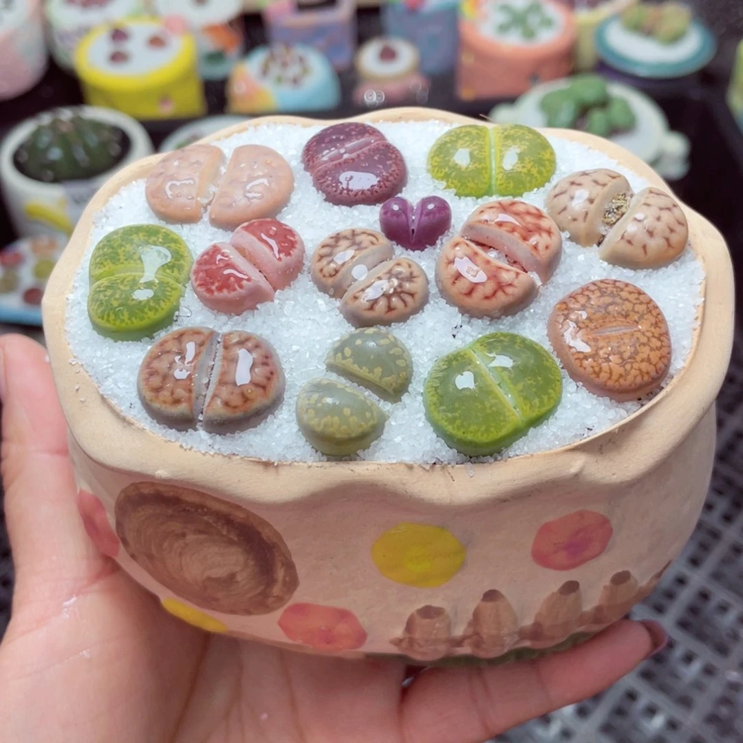 w7744 -零下地区拍保温箱-15支持寄养