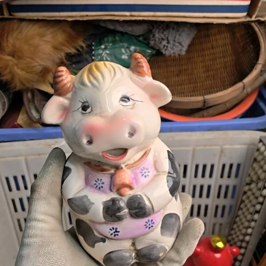 小***郭衣服啊啊啊啊啊啊啊啊