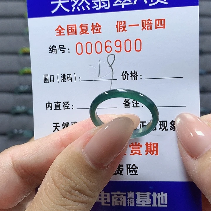 未镶嵌戒圈翡翠6900