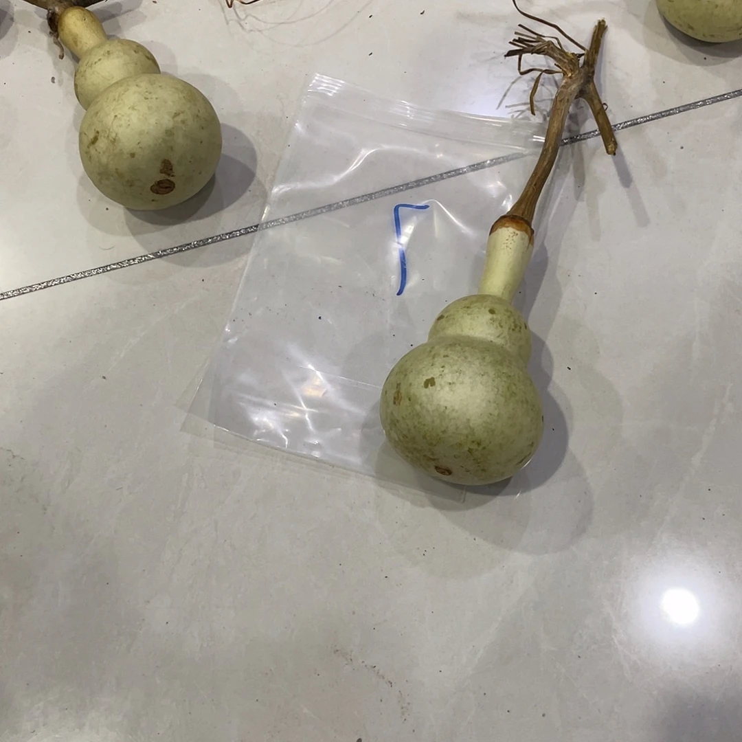 壹****把b和vv过哈哈哈哈哈