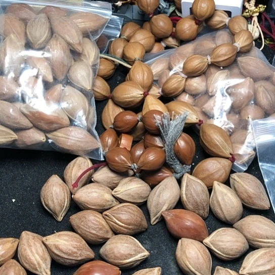 h***n橄榄核手串好咯哦下午兔