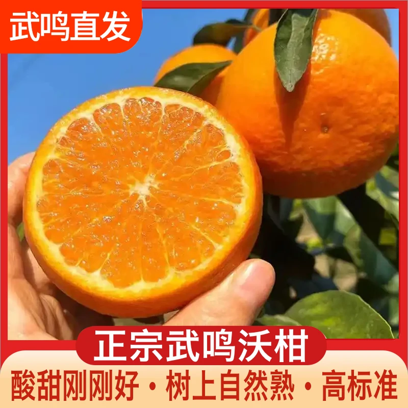 【锕釩諟专属】武鸣沃柑皮薄多汁柑橘新鲜现摘广西当季水果产地直发