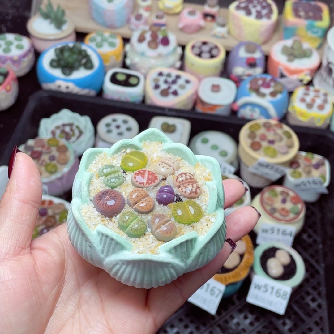 w5171 -零下地区拍保温箱-15支持寄养