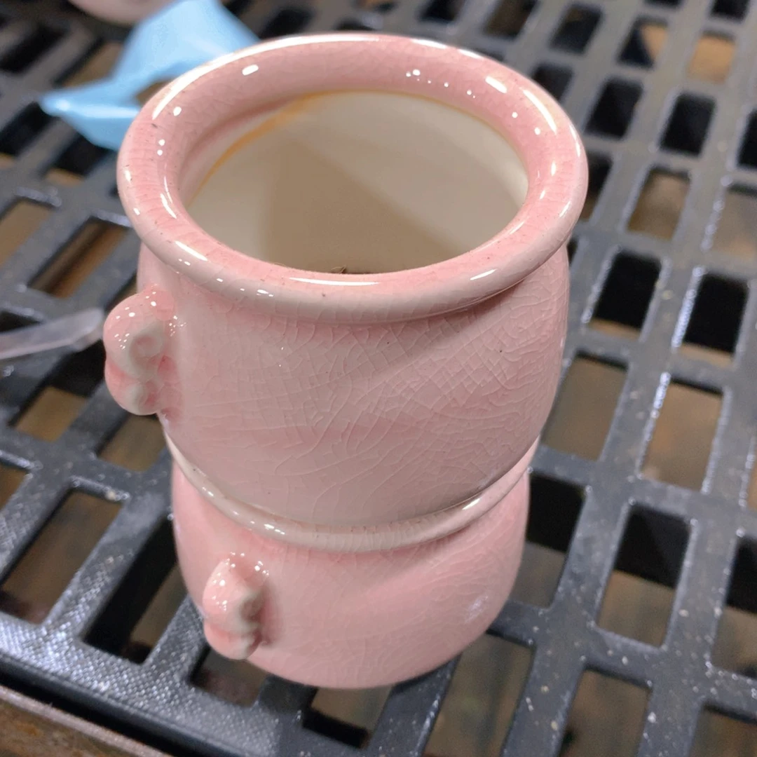 肉萌萌精控多肉 5cm盆量拍 粉盆2个