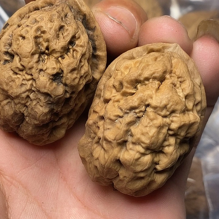 文玩核桃把件云南铁核桃80号39mm