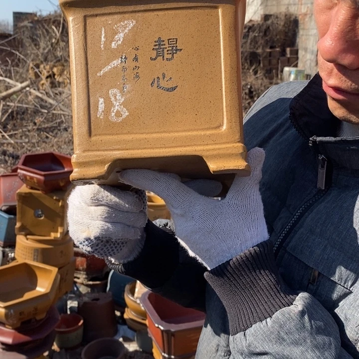 紫砂花盆紫砂艺术学院美术