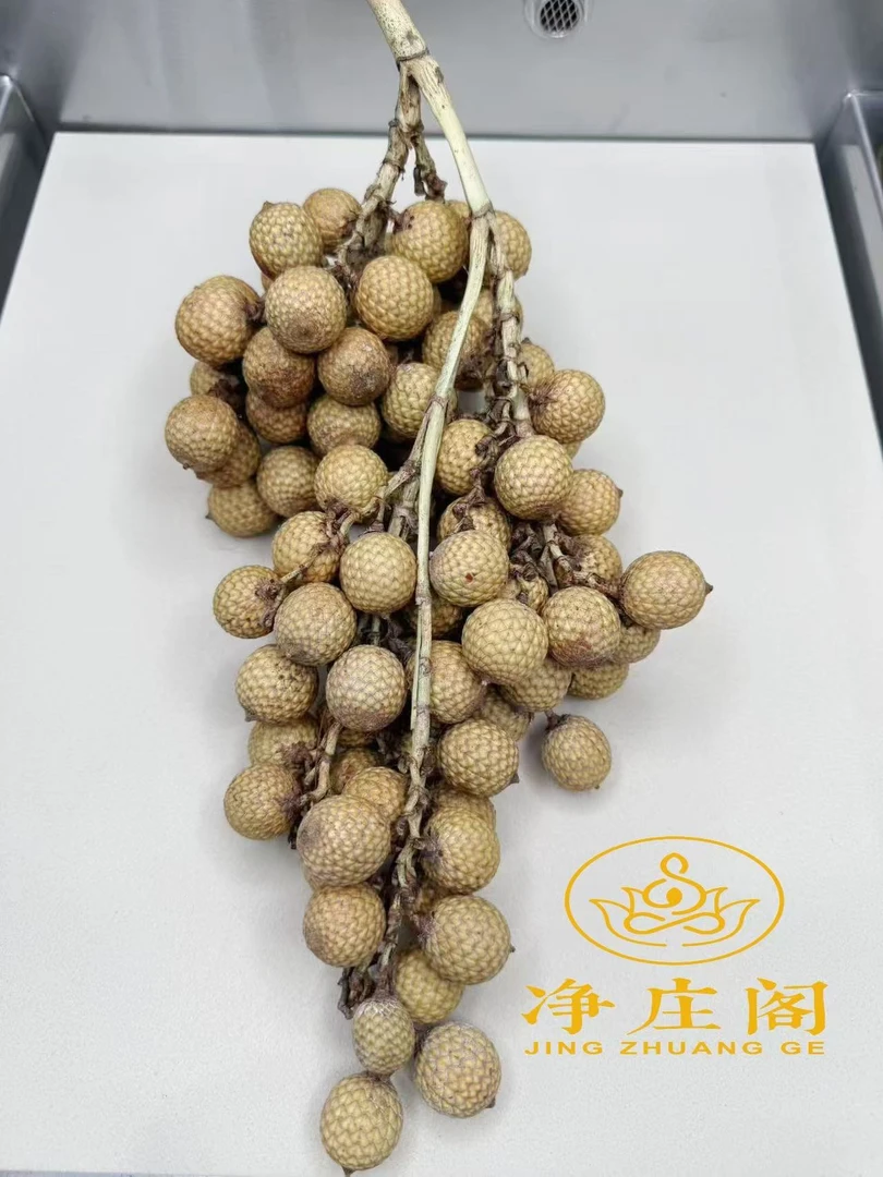 H666净庒阁文玩星月菩提 海南原生态黄藤果