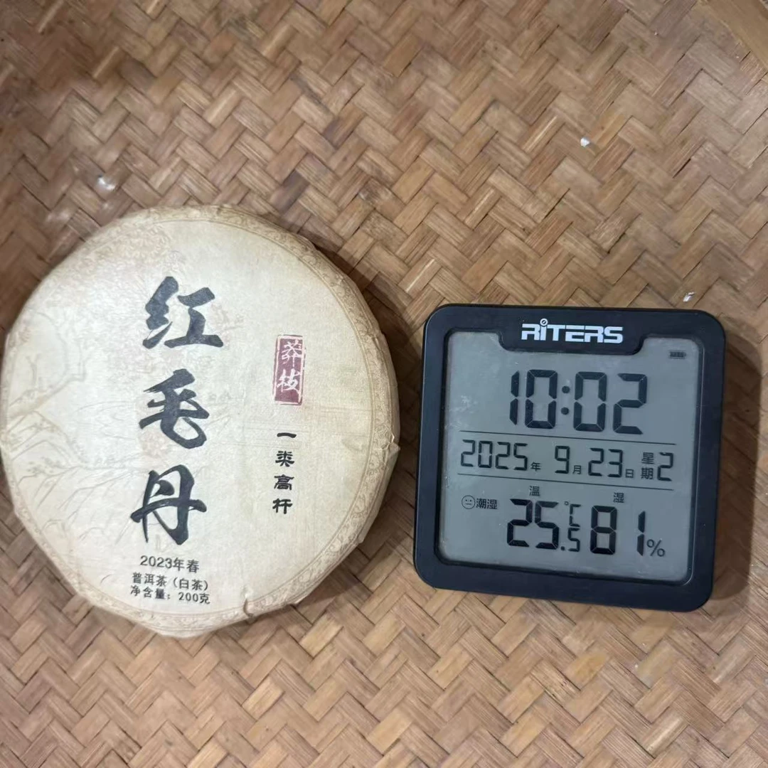 2023年莽枝红毛丹一类高杆普洱白茶饼200克KG3号9月23日