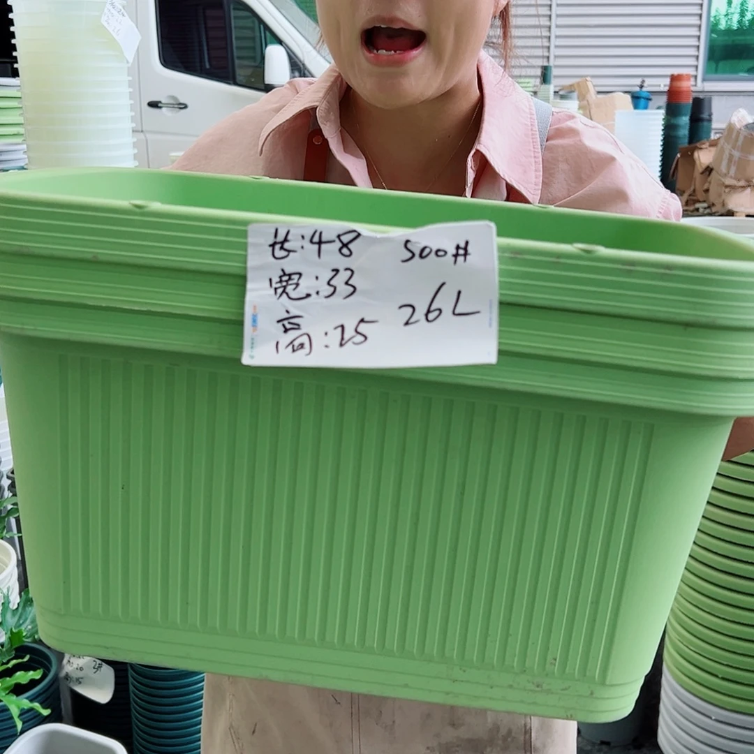 菜盆500#果绿色3个无托