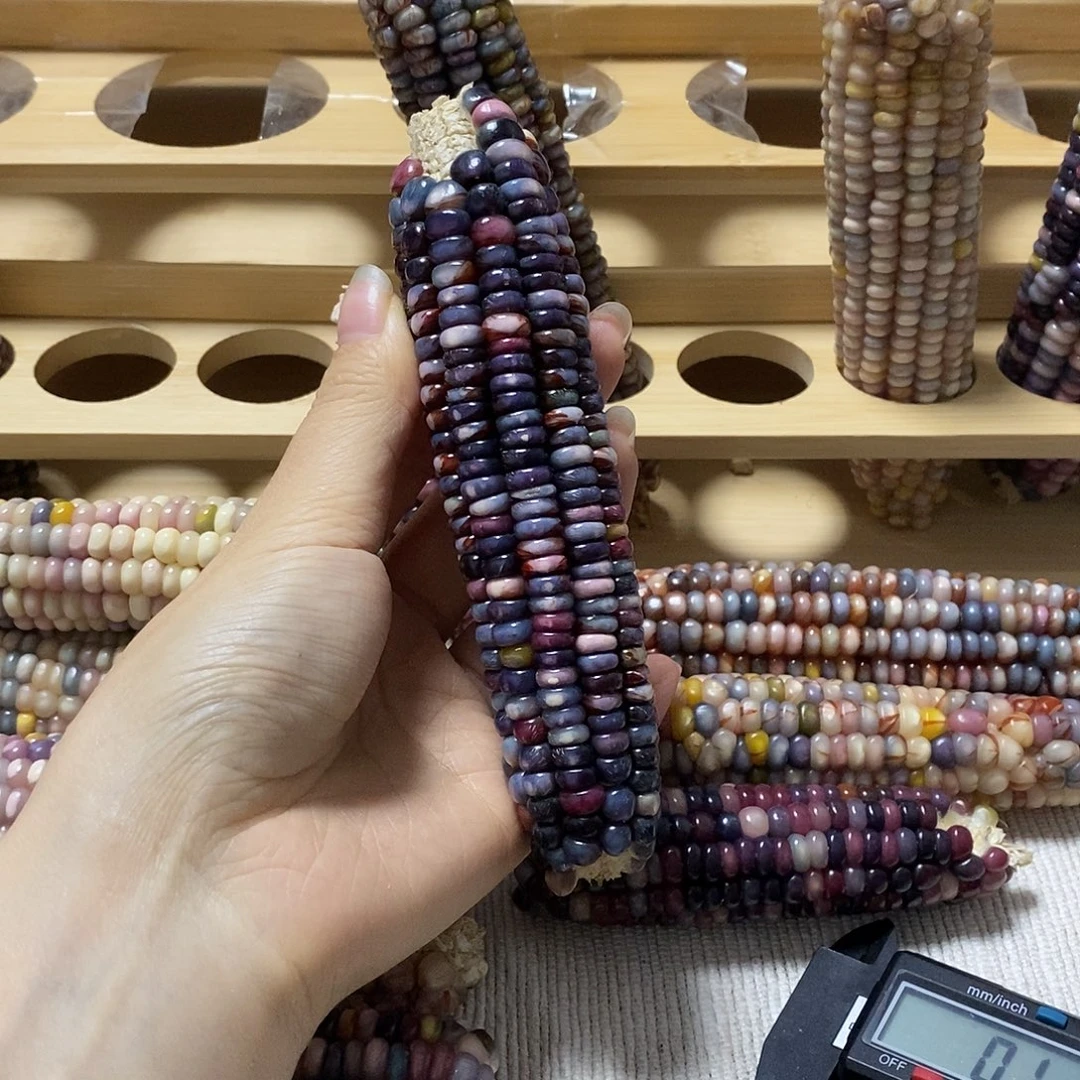 香榧木文玩玉米毛料