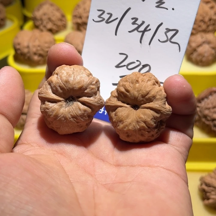 吊坠桃核古蟾全品