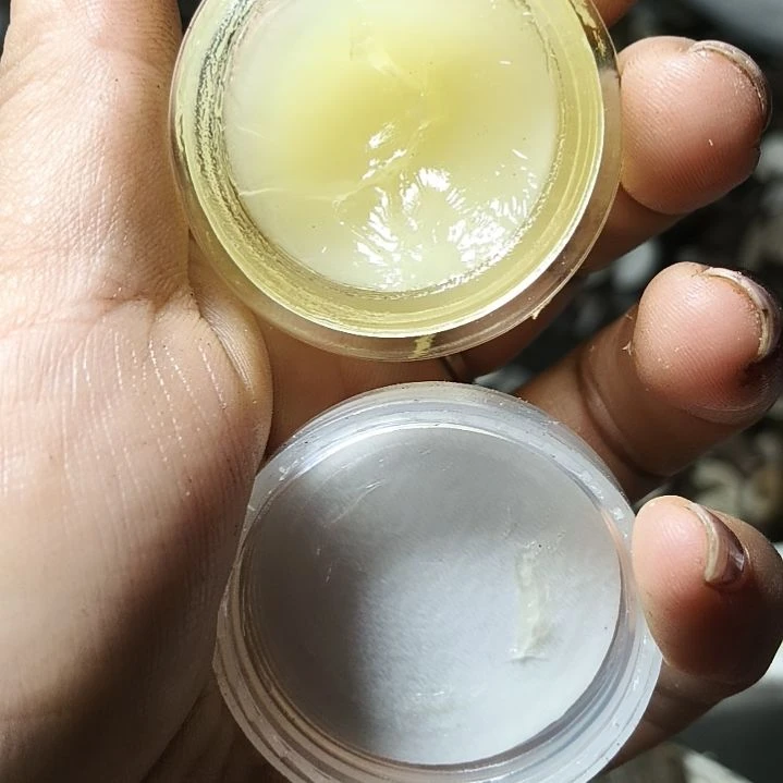 非金属无鹿角鹿角鹿角