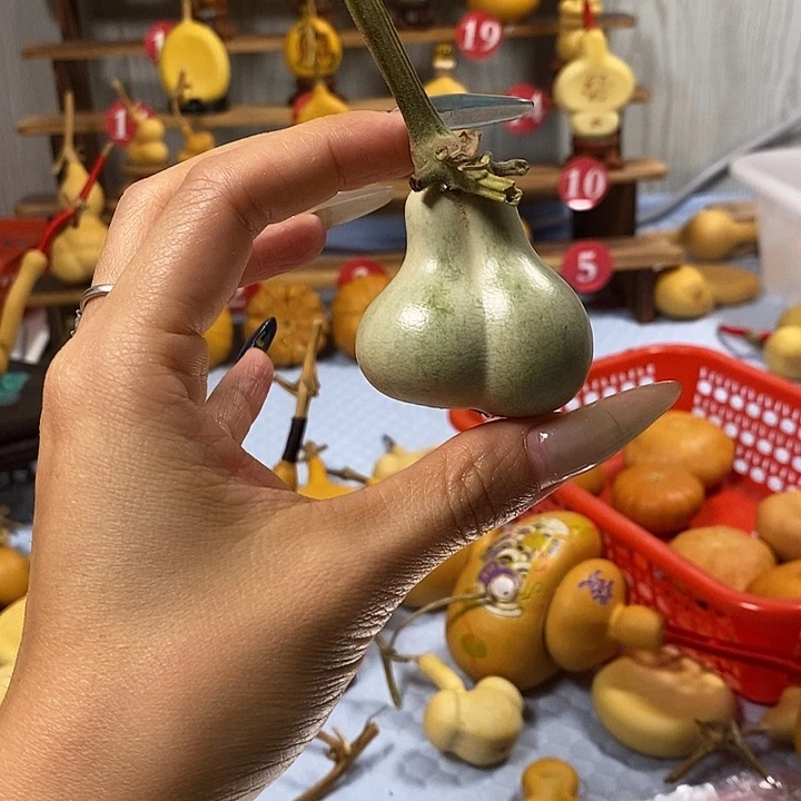 陕***司好喜欢这个表情呀小猫咪真的