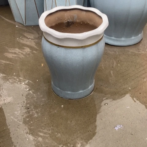 低腰花口金边蓝南瓜中 口26/34