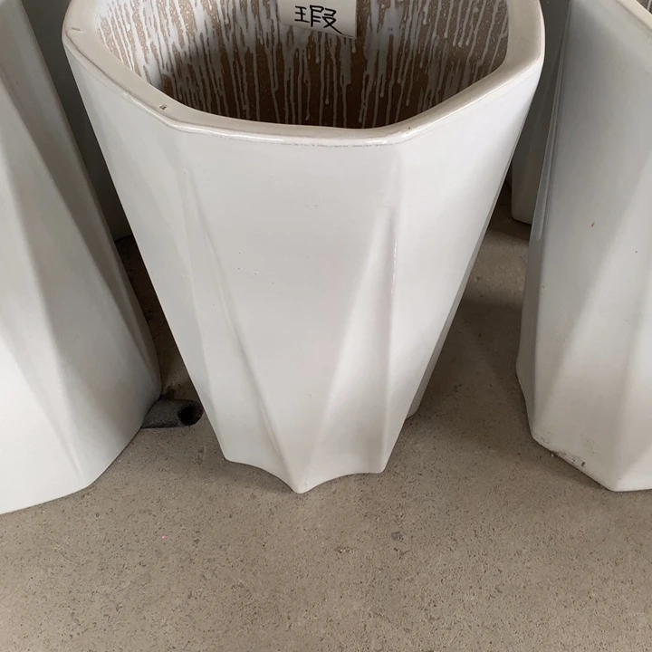 花盆里的小猫咪们都好可爱啊哈哈哈
