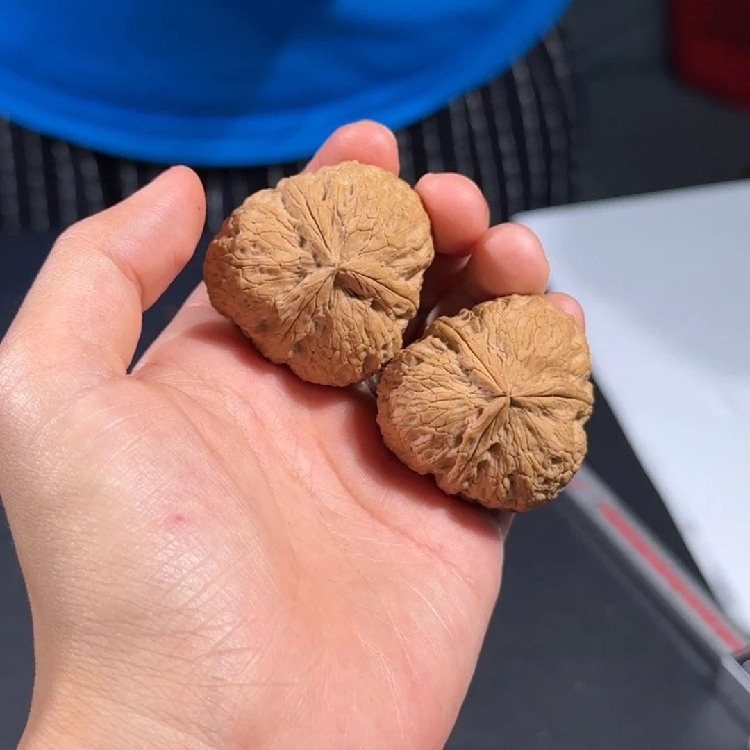 文玩核桃把件75号元宝三棱