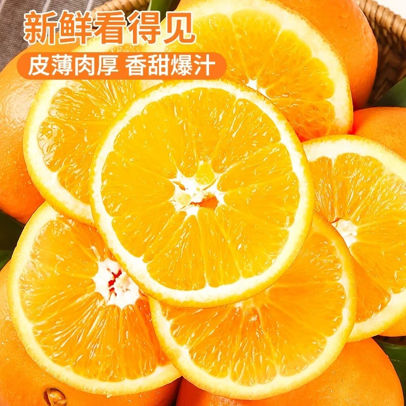 【次日达6】新鲜脐橙中大果多汁农家果园现摘4.5-5斤