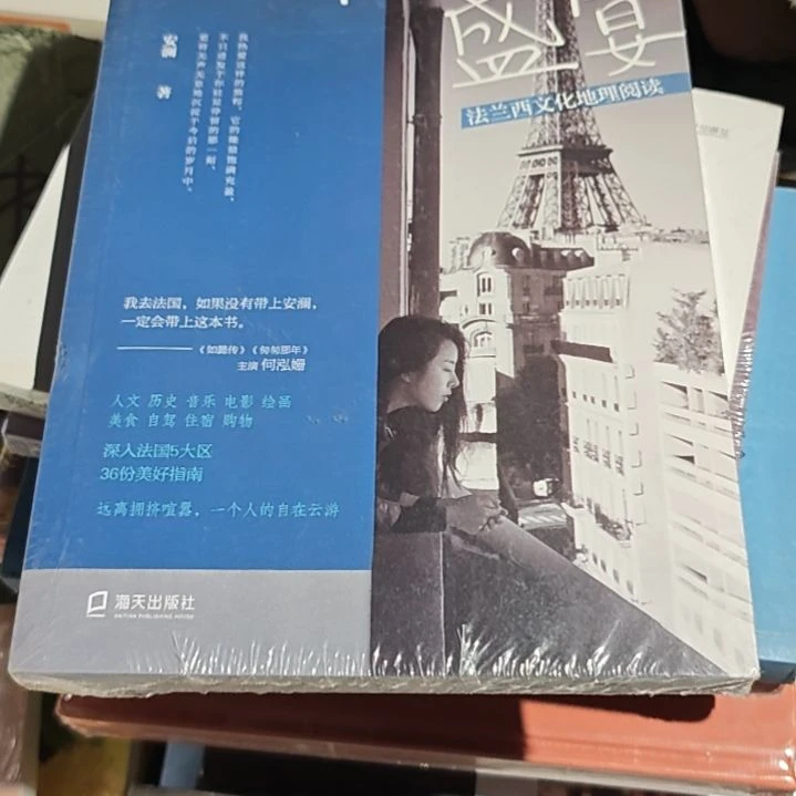 一个人的盛宴平装塑封