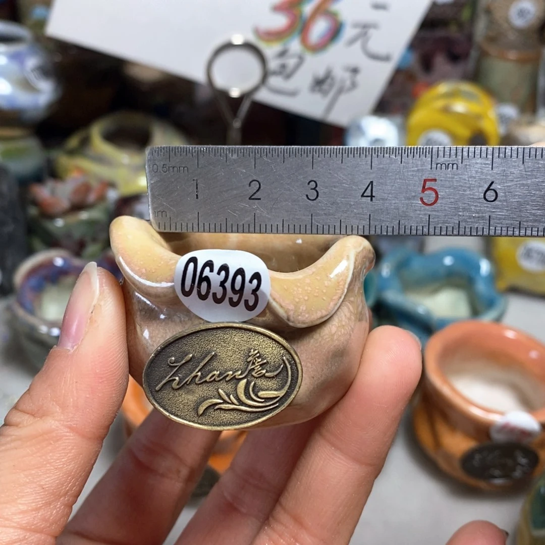 星*?花盆拍5个送一个小礼物
