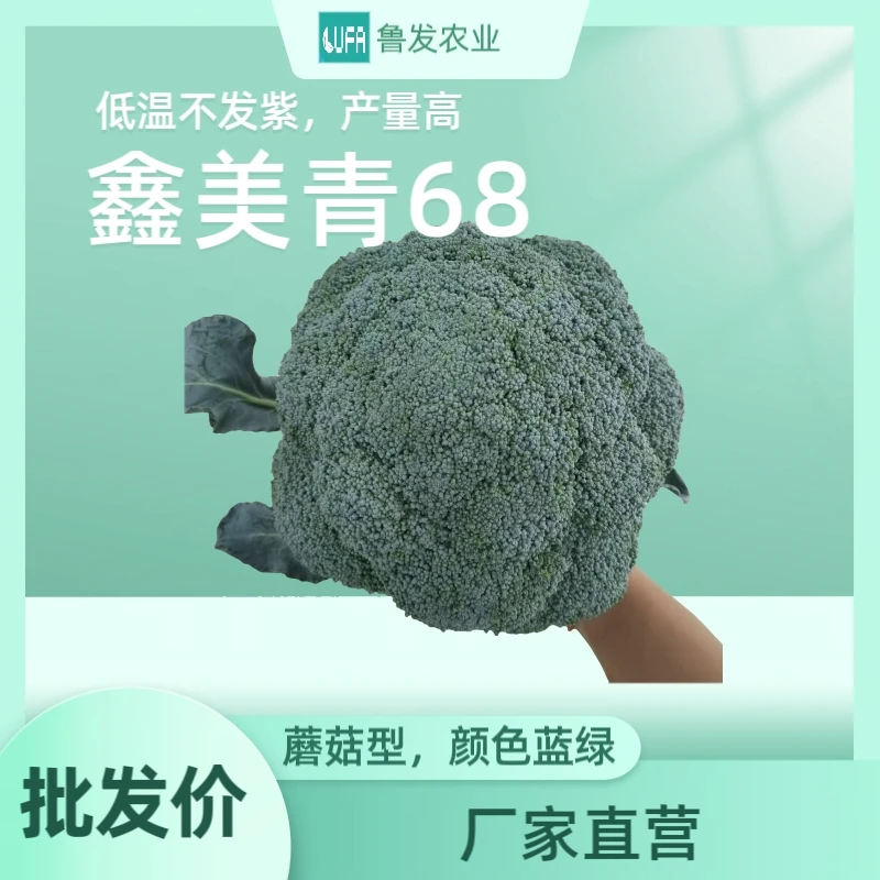 鑫美青68西兰花种子耐寒耐热蔬菜菜种子蔬菜种子西蓝花菜籽正品