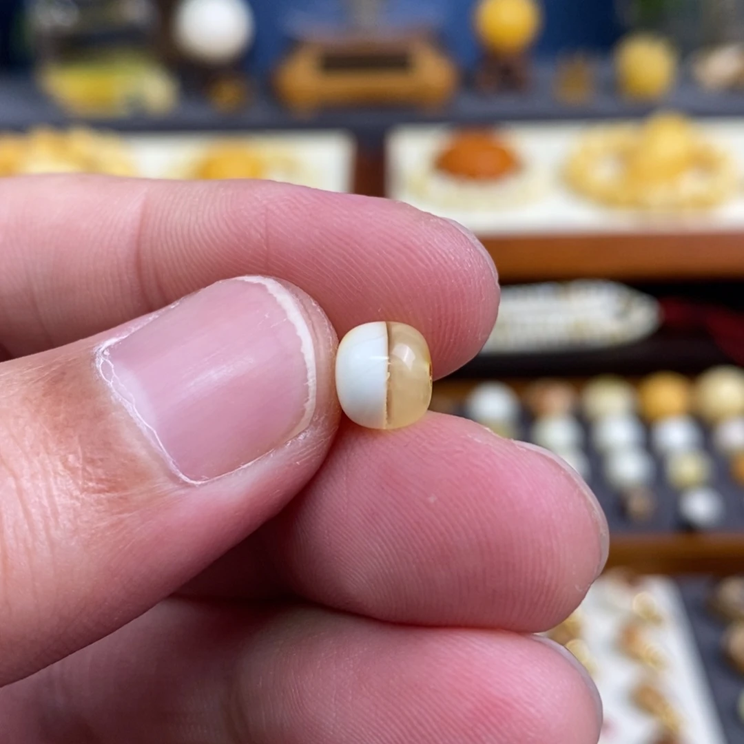 蜜蜡未镶嵌裸石配饰尺寸7.9