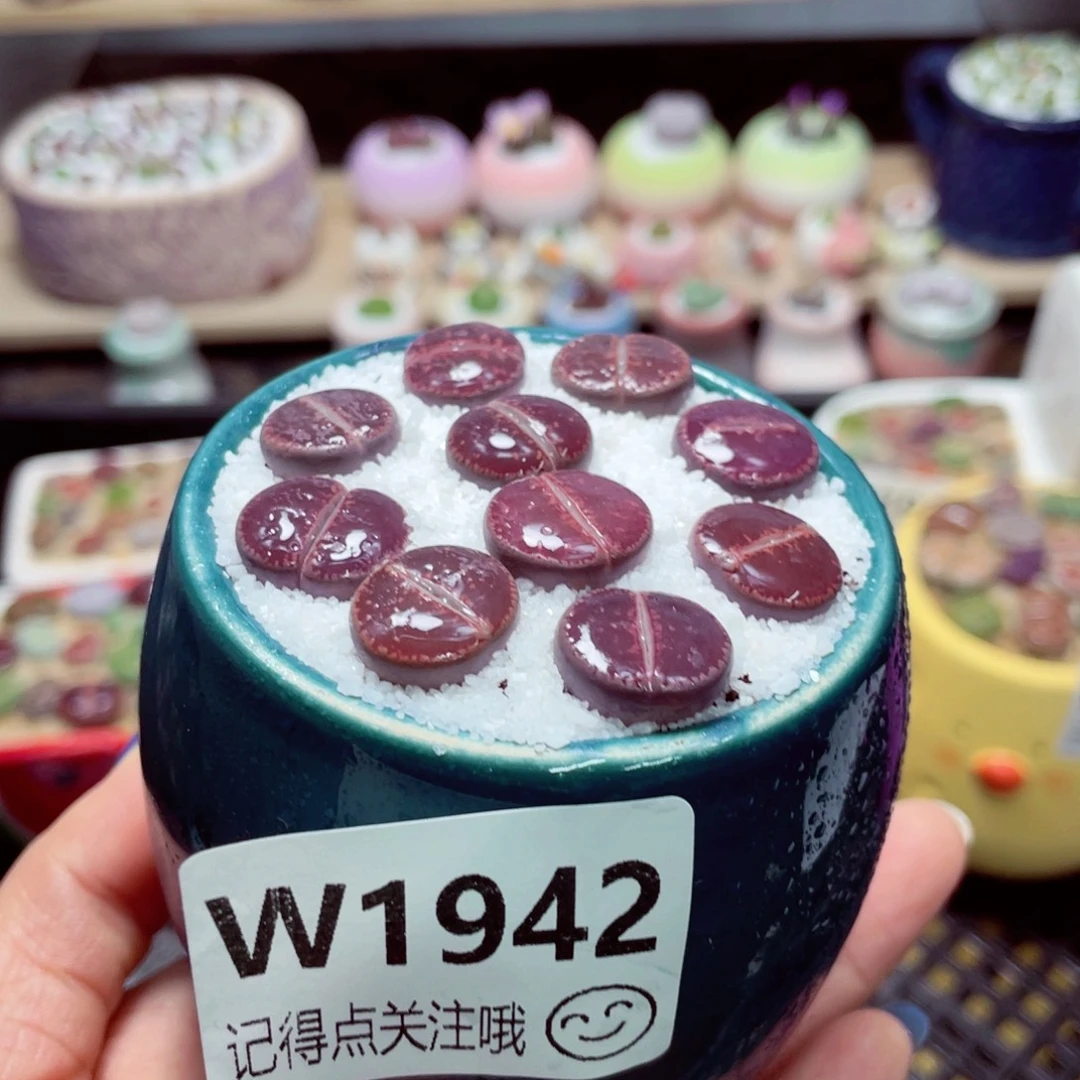 零下地区拍保温箱w1942