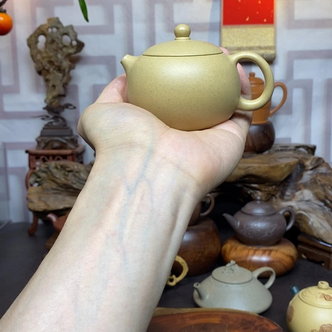 茶壶紫砂紫砂茶具本绿西施