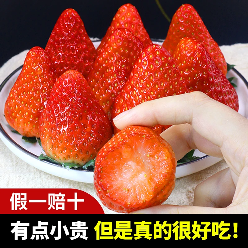 【产地直发】丹东99红颜草莓牛奶大草莓新鲜应季空运包邮