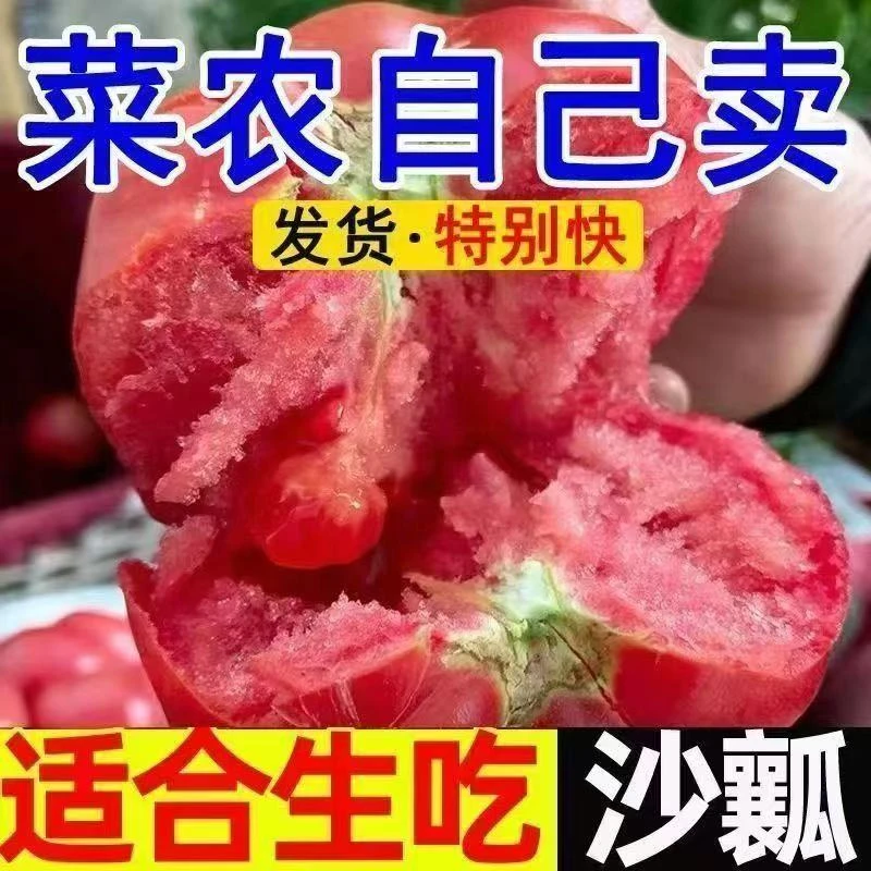 自然成熟西红柿沙沙糯糯超好吃老人小孩可吃