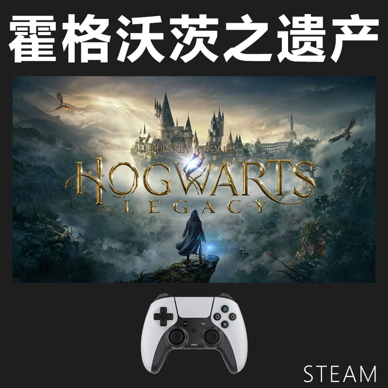 【霍格沃茨之遗产】steam游戏入库支持 PC无线游戏手柄蓝牙有线双人