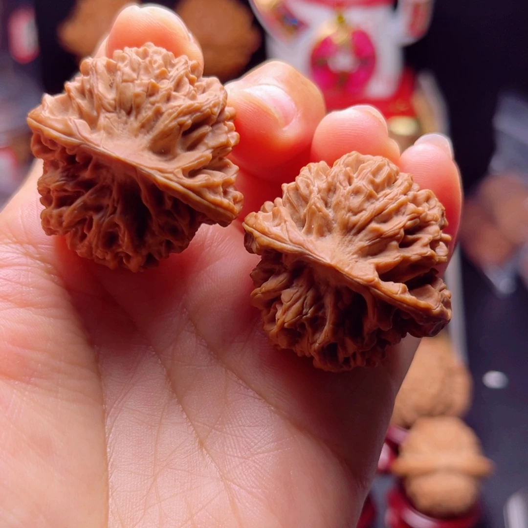 木质类货头秦闷全品